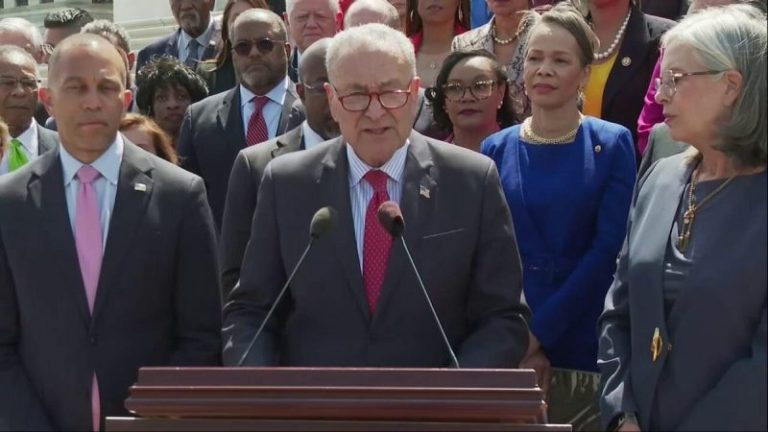 The ‘F-word’: Schumer says Trump’s first 100 days can be distilled to single utterance